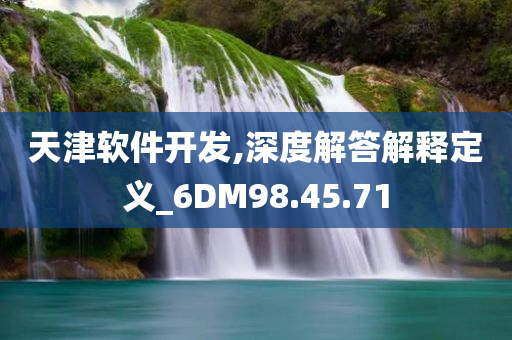 天津软件开发,深度解答解释定义_6DM98.45.71