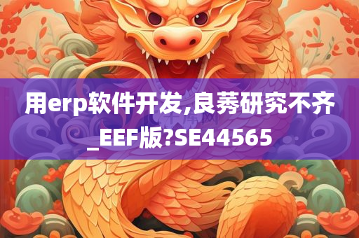 用erp软件开发,良莠研究不齐_EEF版?SE44565