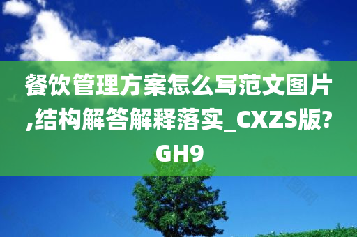 餐饮管理方案怎么写范文图片,结构解答解释落实_CXZS版?GH9