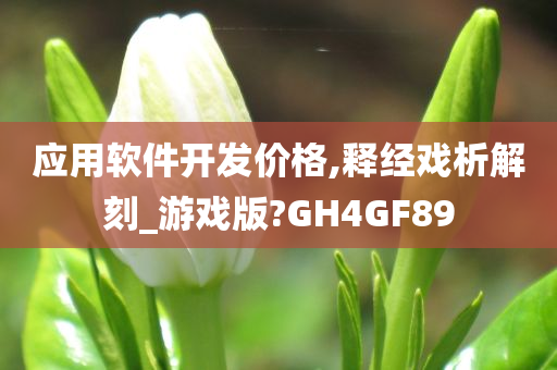 应用软件开发价格,释经戏析解刻_游戏版?GH4GF89