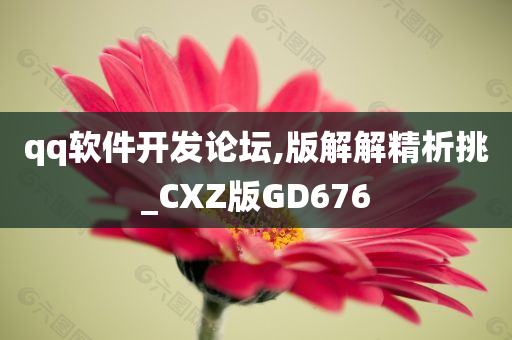 qq软件开发论坛,版解解精析挑_CXZ版GD676