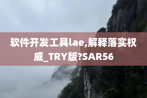 软件开发工具lae,解释落实权威_TRY版?SAR56