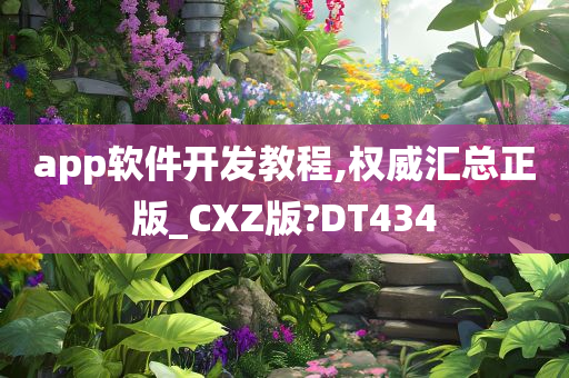 app软件开发教程,权威汇总正版_CXZ版?DT434