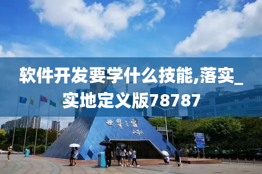 软件开发要学什么技能,落实_实地定义版78787