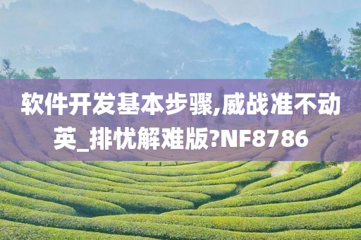 软件开发基本步骤,威战准不动英_排忧解难版?NF8786