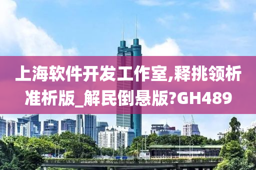 上海软件开发工作室,释挑领析准析版_解民倒悬版?GH489