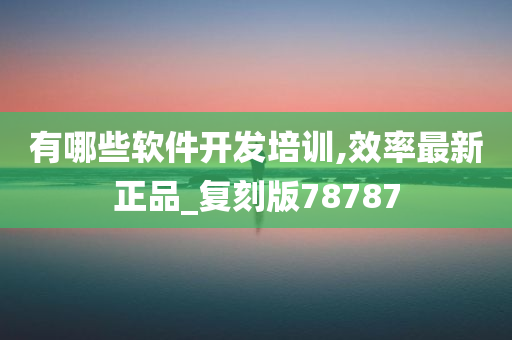 有哪些软件开发培训,效率最新正品_复刻版78787