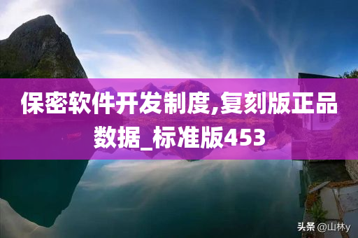 保密软件开发制度,复刻版正品数据_标准版453