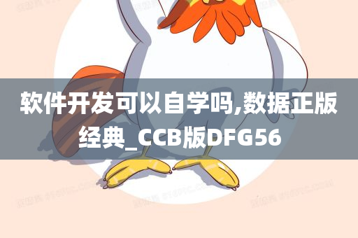 软件开发可以自学吗,数据正版经典_CCB版DFG56