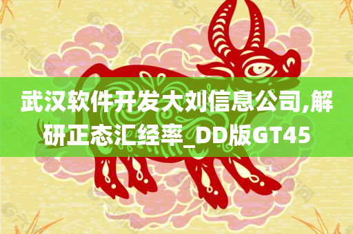 武汉软件开发大刘信息公司,解研正态汇经率_DD版GT45