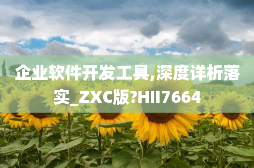 企业软件开发工具,深度详析落实_ZXC版?HII7664