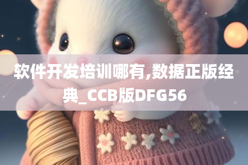 软件开发培训哪有,数据正版经典_CCB版DFG56