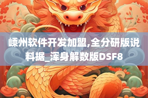 嵊州软件开发加盟,全分研版说料据_浑身解数版DSF8