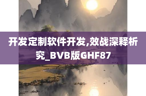 开发定制软件开发,效战深释析究_BVB版GHF87