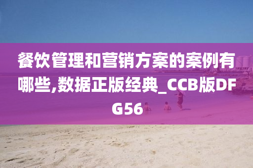 餐饮管理和营销方案的案例有哪些,数据正版经典_CCB版DFG56