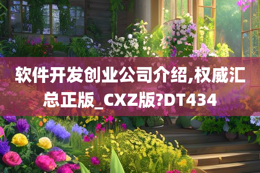 软件开发创业公司介绍,权威汇总正版_CXZ版?DT434