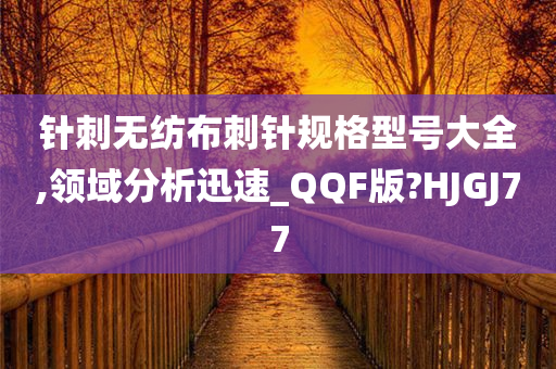 针刺无纺布刺针规格型号大全,领域分析迅速_QQF版?HJGJ77