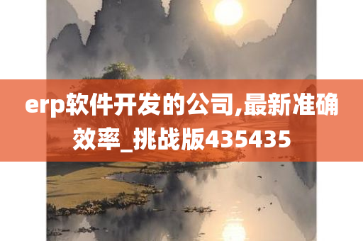 erp软件开发的公司,最新准确效率_挑战版435435