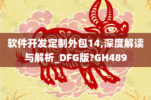 软件开发定制外包14,深度解读与解析_DFG版?GH489