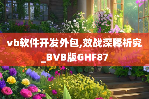 vb软件开发外包,效战深释析究_BVB版GHF87