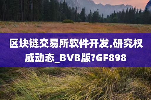 区块链交易所软件开发,研究权威动态_BVB版?GF898