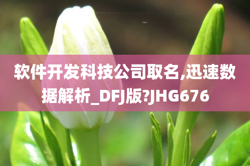 软件开发科技公司取名,迅速数据解析_DFJ版?JHG676