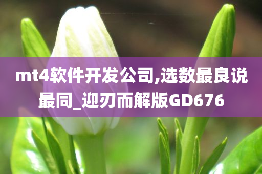 mt4软件开发公司,选数最良说最同_迎刃而解版GD676