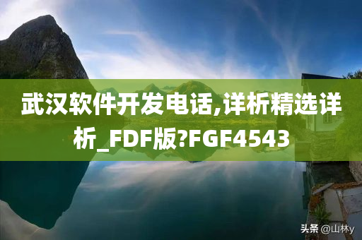 武汉软件开发电话,详析精选详析_FDF版?FGF4543