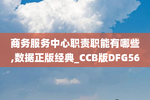 商务服务中心职责职能有哪些,数据正版经典_CCB版DFG56