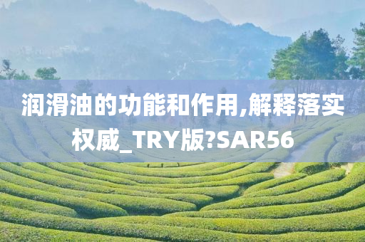 润滑油的功能和作用,解释落实权威_TRY版?SAR56