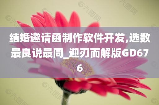 结婚邀请函制作软件开发,选数最良说最同_迎刃而解版GD676