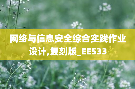 网络与信息安全综合实践作业设计,复刻版_EE533