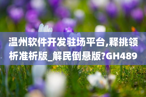 温州软件开发驻场平台,释挑领析准析版_解民倒悬版?GH489