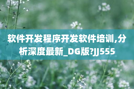 软件开发程序开发软件培训,分析深度最新_DG版?JJ555