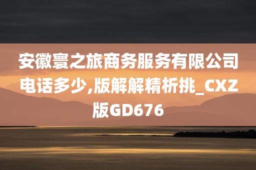 安徽寰之旅商务服务有限公司电话多少,版解解精析挑_CXZ版GD676