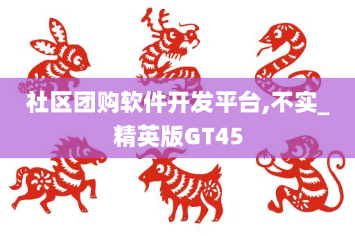 社区团购软件开发平台,不实_精英版GT45