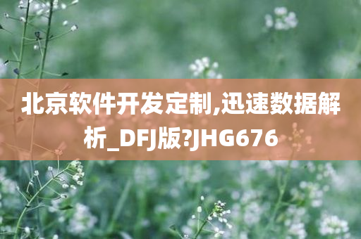 北京软件开发定制,迅速数据解析_DFJ版?JHG676