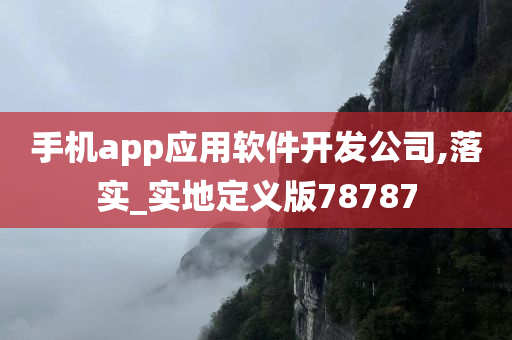 手机app应用软件开发公司,落实_实地定义版78787