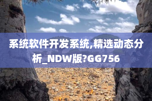 系统软件开发系统,精选动态分析_NDW版?GG756