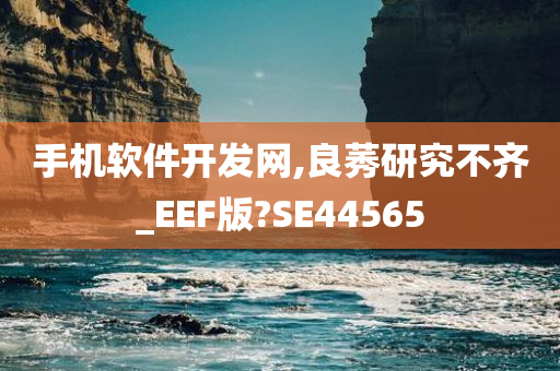 手机软件开发网,良莠研究不齐_EEF版?SE44565