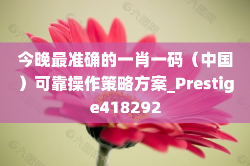 今晚最准确的一肖一码（中国）可靠操作策略方案_Prestige418292