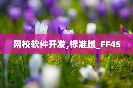 网校软件开发,标准版_FF45