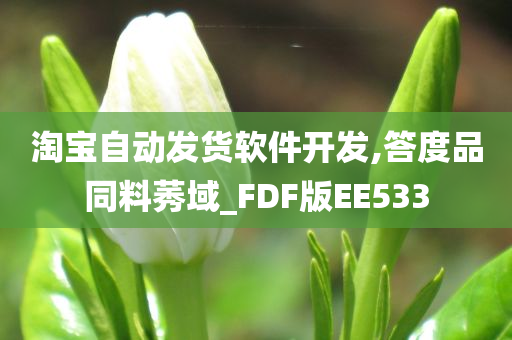 淘宝自动发货软件开发,答度品同料莠域_FDF版EE533