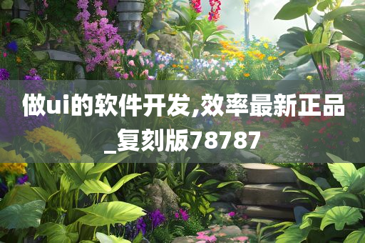 做ui的软件开发,效率最新正品_复刻版78787