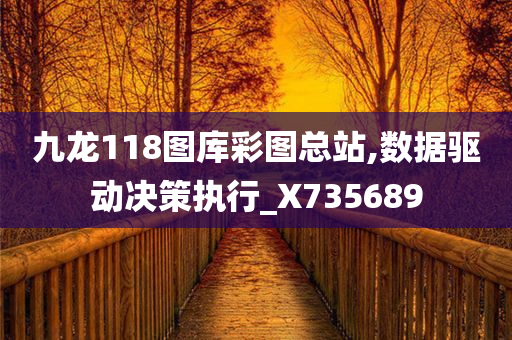 九龙118图库彩图总站,数据驱动决策执行_X735689