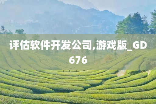 评估软件开发公司,游戏版_GD676