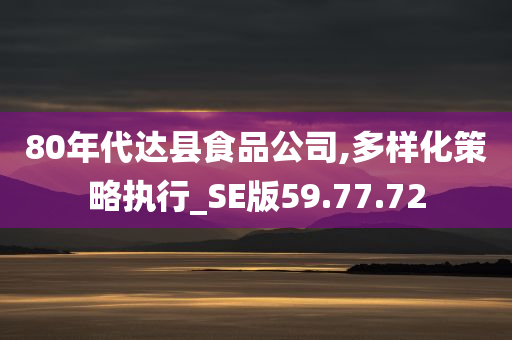 80年代达县食品公司,多样化策略执行_SE版59.77.72