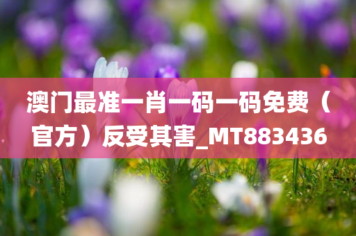 澳门最准一肖一码一码免费（官方）反受其害_MT883436