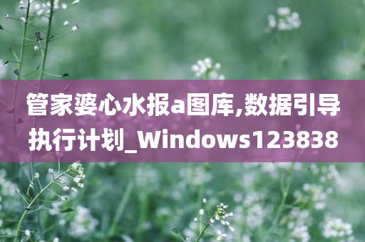 管家婆心水报a图库,数据引导执行计划_Windows123838