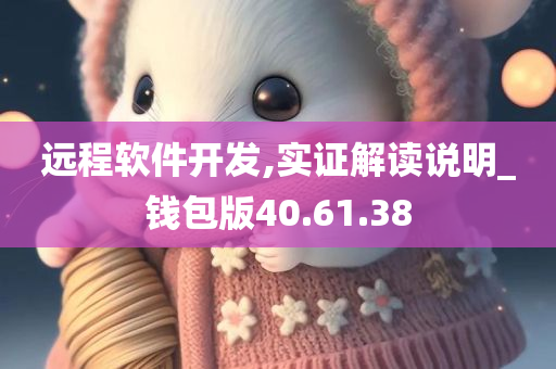 远程软件开发,实证解读说明_钱包版40.61.38